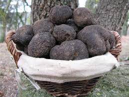 Des truffes