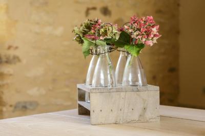 Hortensias du jardin